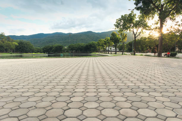 Best Residential Driveway Paver Services  in Horatio, AR
